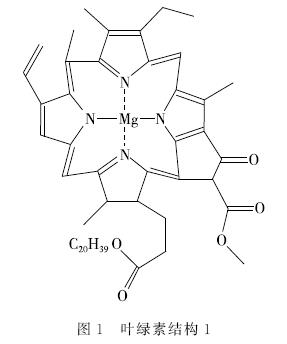 2009年版人教版化学选修3第43页将卟啉配合物叶绿素的结构表示为图1.