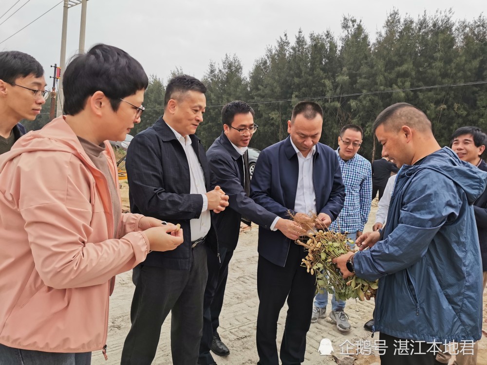 中交四航院发挥规划优势助力湛江南三镇乡村振兴