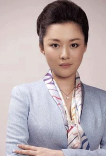 为工作不惜放弃婚姻为买车贷款14万央视主播紫凝的心酸谁能懂