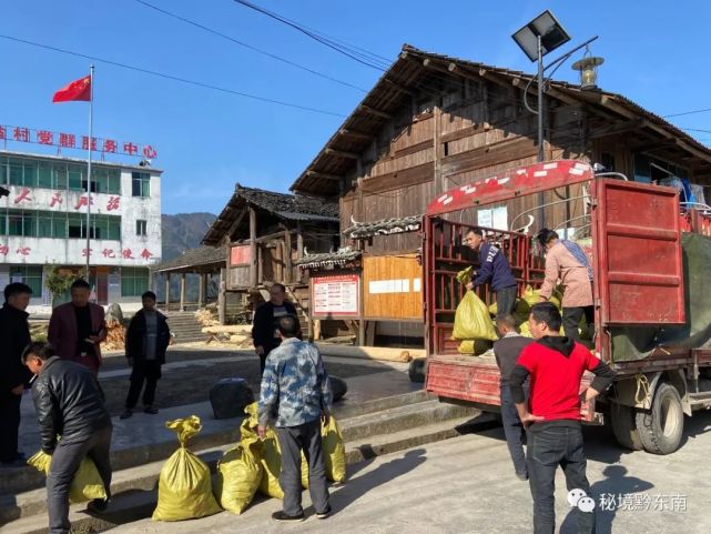 【时讯】从江县加鸠镇:林下经济让沃土生"金"让百姓致富