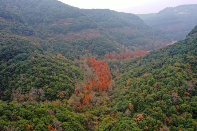 这一带群峰连绵,数有三十六峰,清秀奇丽,因此而名清秀山,当地人也称作