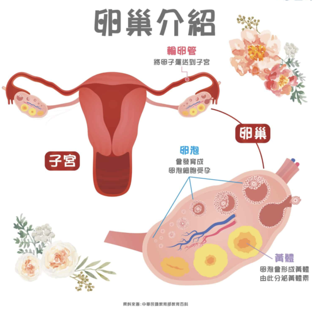 女生长期没有性生活,就会"卵巢早衰"吗?