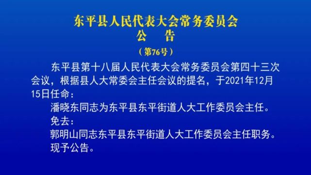 东平县人事任免