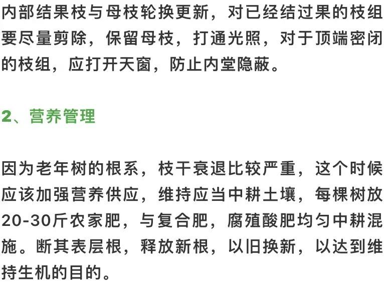 幼树挂果树的冬季修剪及营养管理要点看这一篇就够了