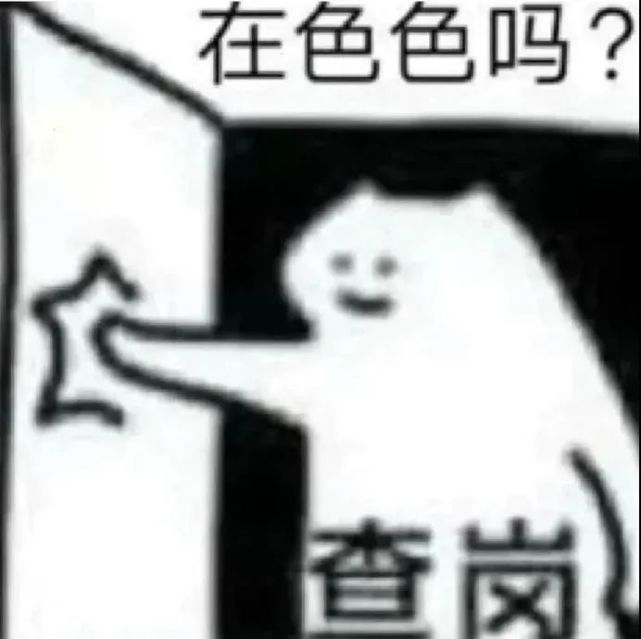 表情包:查岗猫表情