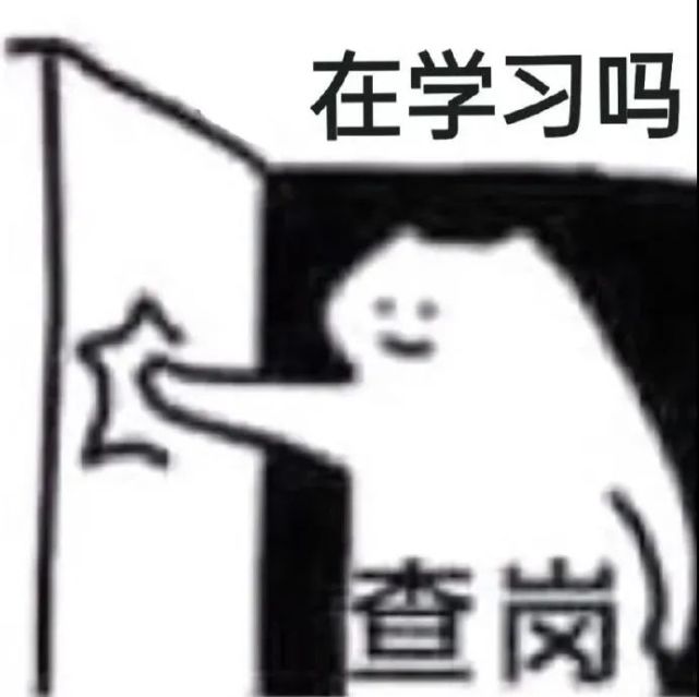 表情包:查岗猫表情