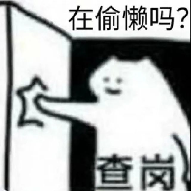 表情包:查岗猫表情