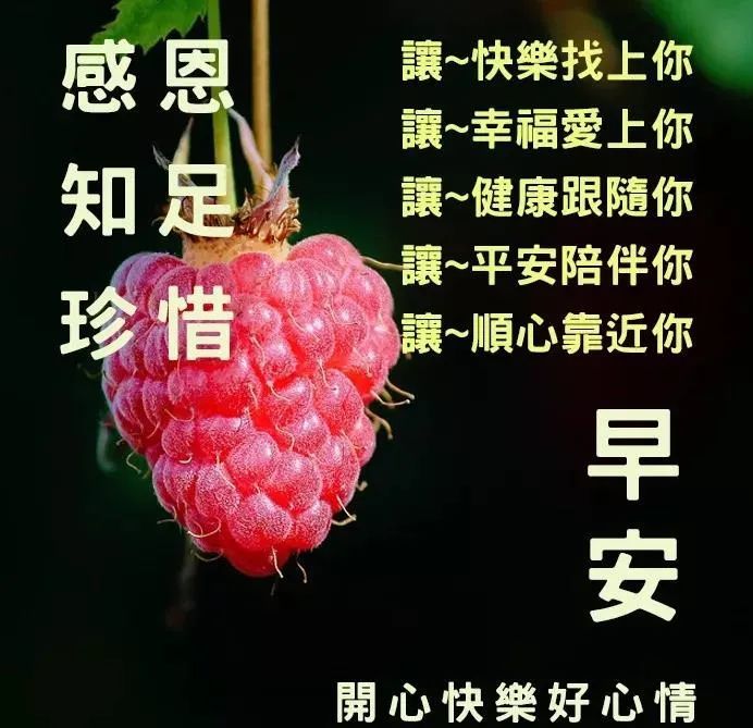 1月14日最新早上好日常祝福语大全早晨好日常问候语录新版