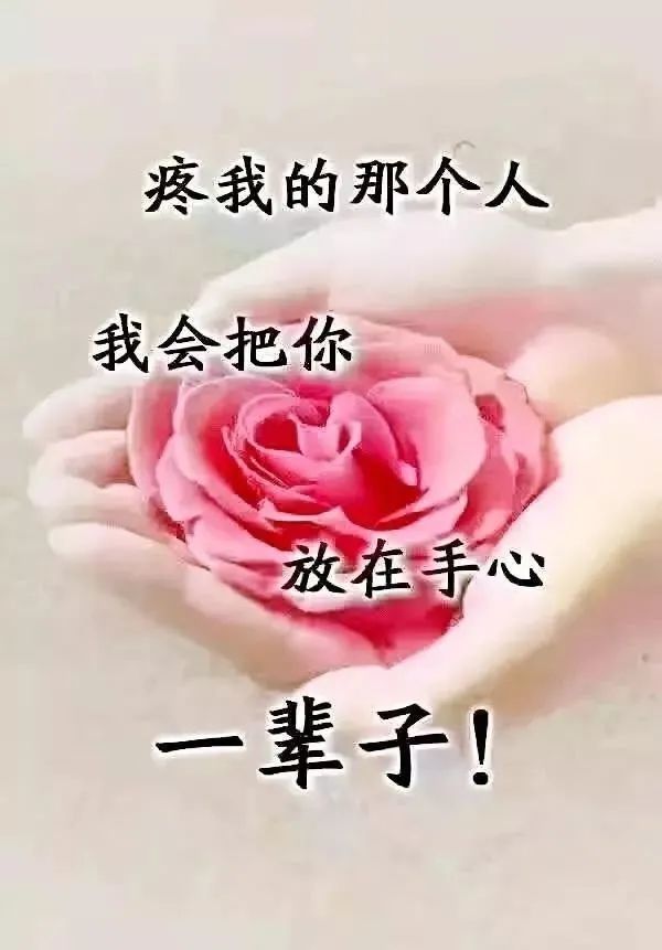 绽放你的微笑感受生活的美好把幸福紧紧拥抱早安
