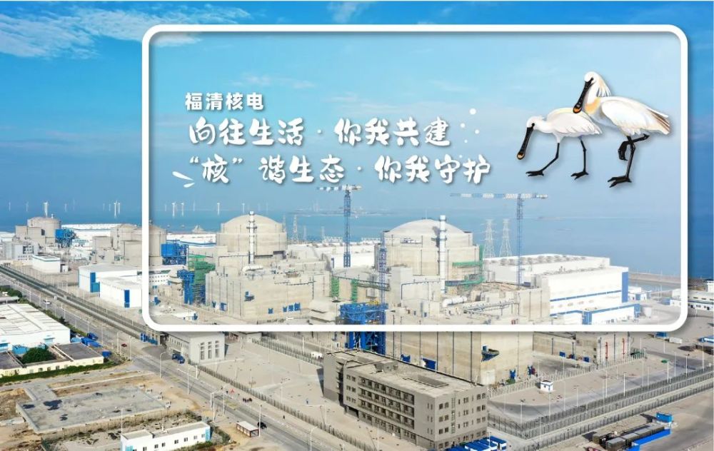 中国核电不需要广告