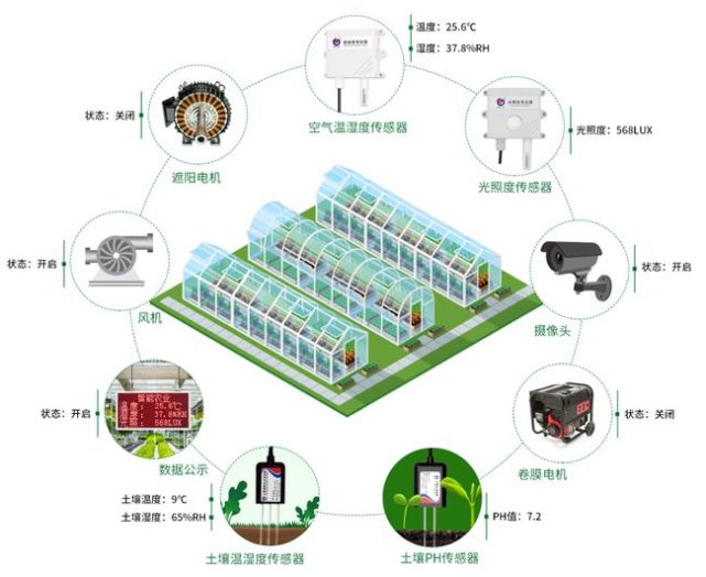 温室大棚为何能和智能扯上关系