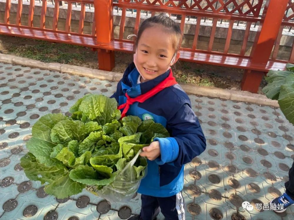 宇晨一2班劳动小能手:张婉然一3班劳动小能手:代梓琪一4班劳动小能手