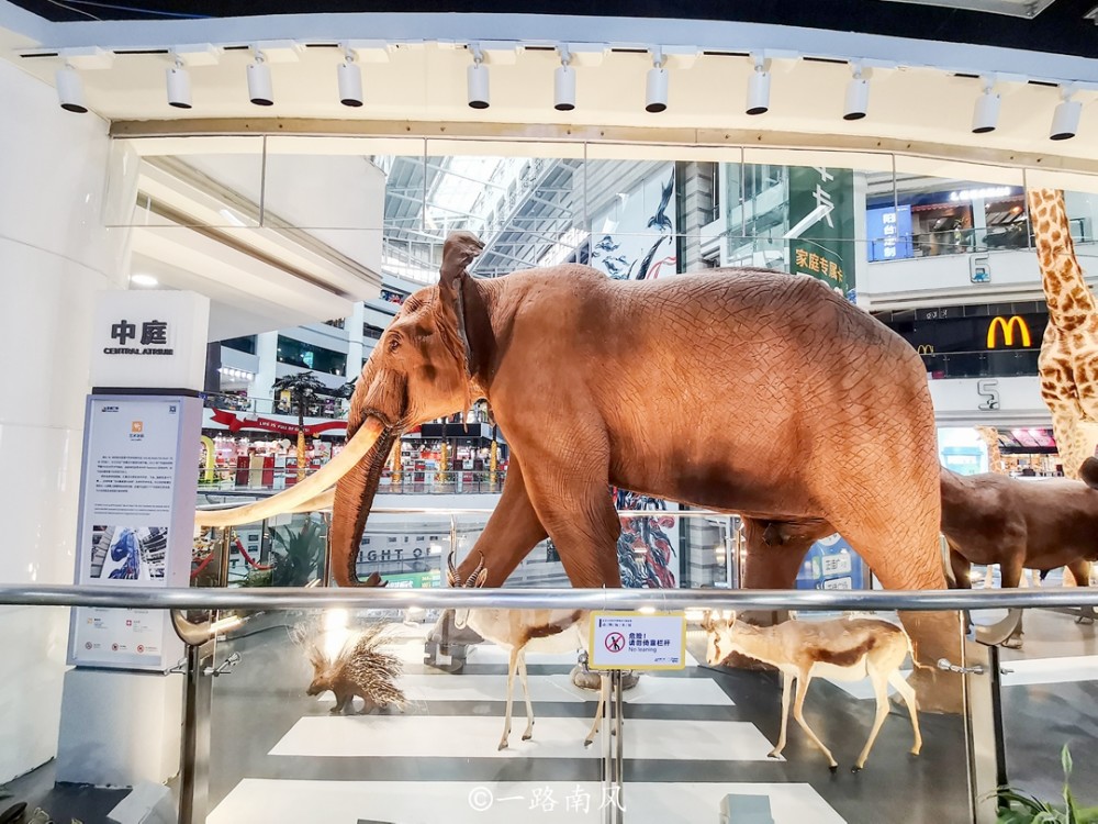 永清曹家务国际商贸城一站式购物天堂尽享全球精品