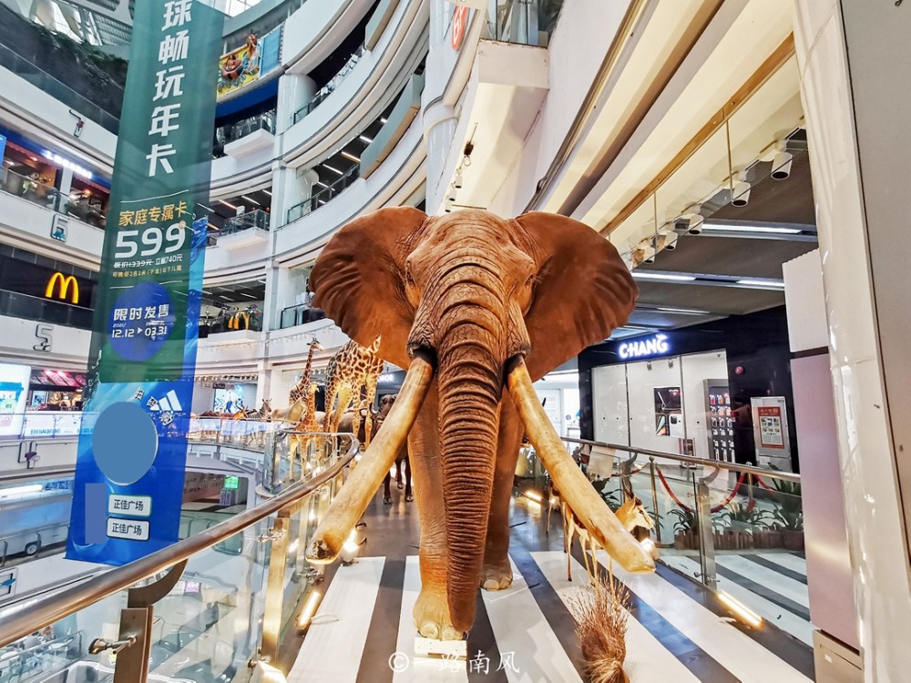 柘城万洋商贸城盛大开业商业新地标崛起购物狂欢即将开启