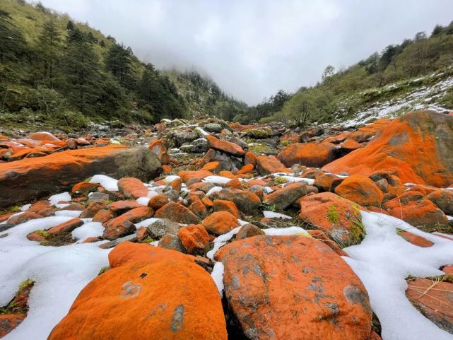 二郎山喇叭河旅游景区元旦开园!