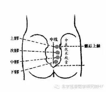 缓解腰骶部疼痛,坐骨神经痛,月经不调,小腹胀痛,妇科问题.