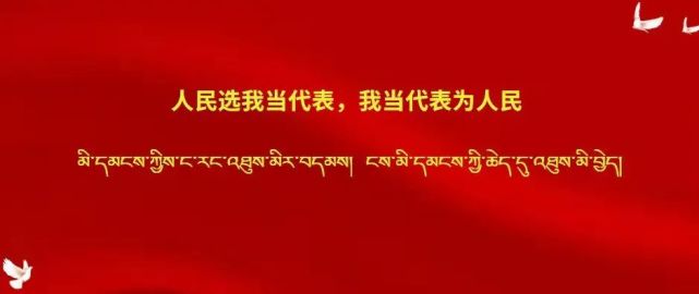 西藏表彰这些模范,先进个人和群体,来看看他们的事迹!