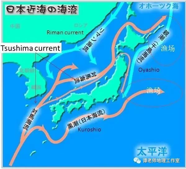 【地理拓展】全球第二大暖流黑潮是如何影响日本气候的