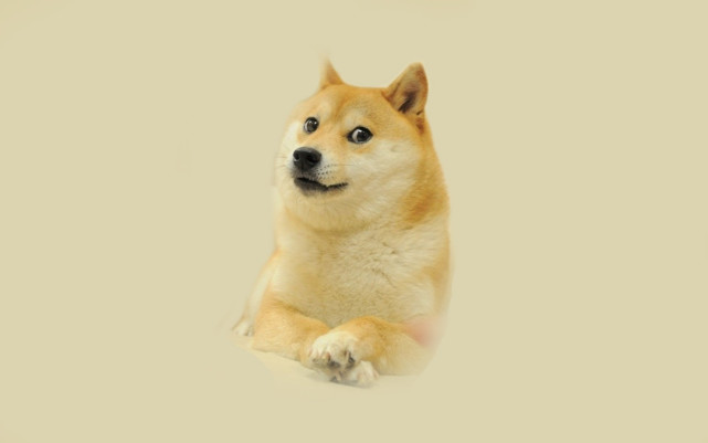 狗头超清壁纸