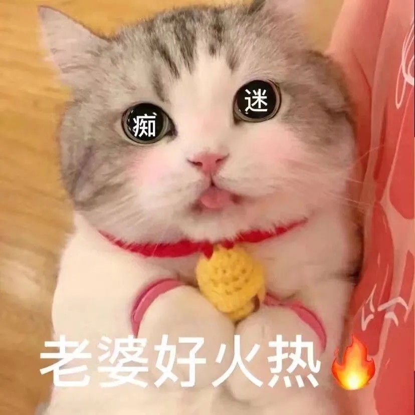 猫猫表情包老婆开门啊