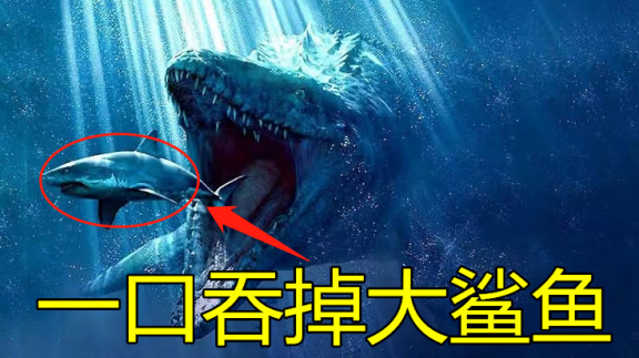 大海怪靠近了那条鲨鱼之后,就把它一口吞下肚约翰发现这个怪物大得出