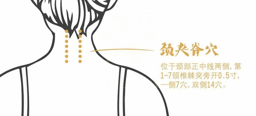 针对颈肩问题,建议选择颈3-颈6夹脊穴,后正中线旁开0.5寸.
