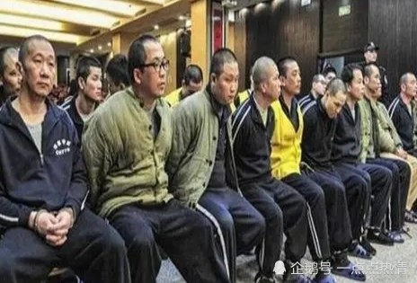 被抓获,其中4人被判处死刑,其余人员均得到了应有的惩罚,终于还长春