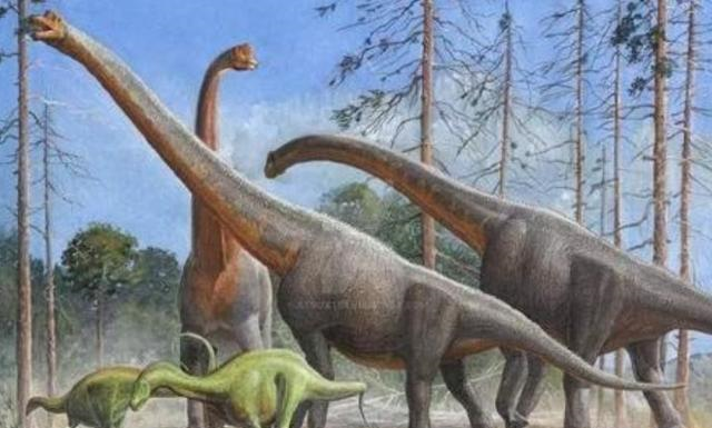 最大的恐龙是什么龙