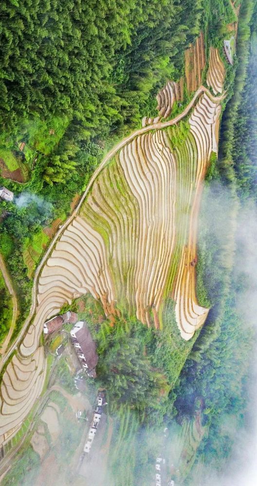 ▼(请横屏观看,尚未进行插秧的上堡梯田,图片来源@视觉中国)或顺山势