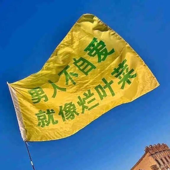 男人不自爱就像烂菜叶表情包图片