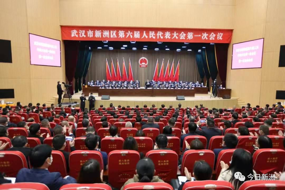 新洲区新一届人大政府政协领导班子选举产生