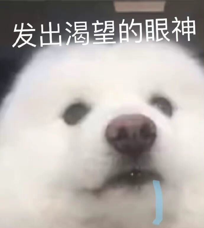 可爱修勾表情包发出渴望的眼神