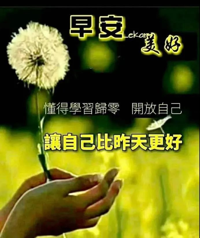 祝你天天都有好心情,幸福健康永相随.朋友,早安!