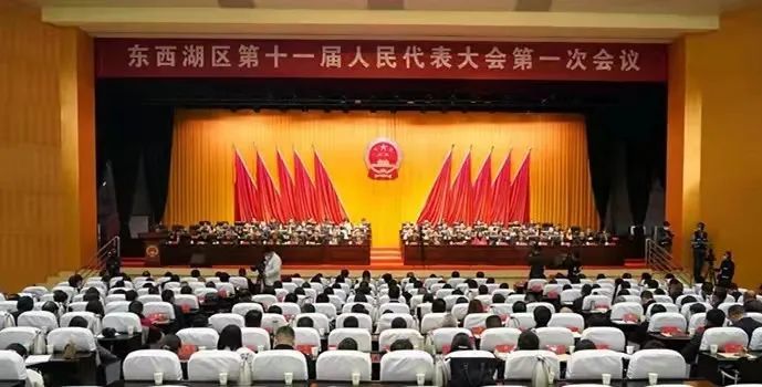 听民意,代民言"牢记在心,以实际行动回馈社会大众,不辜负东西湖区全体