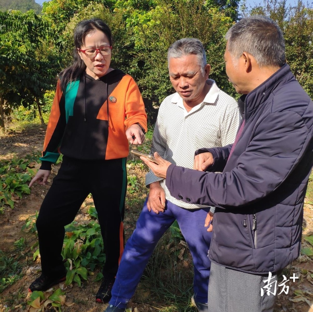 山美街道苍地村党总支书记赖连娟乡村振兴是一篇大文章