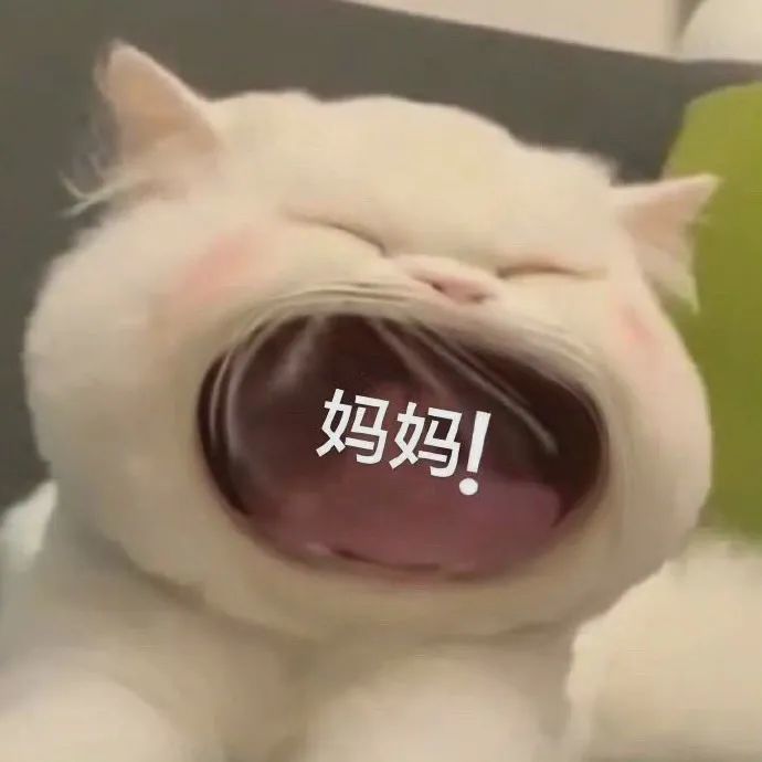 表情包分享大口猫猫