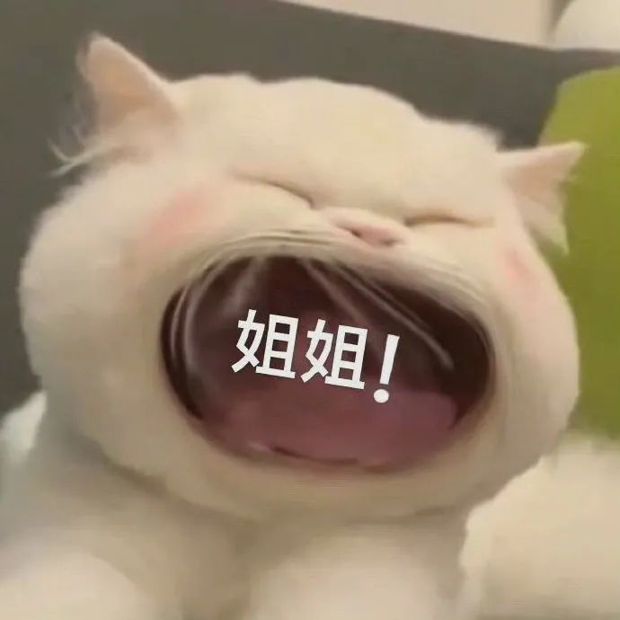 表情包分享大口猫猫