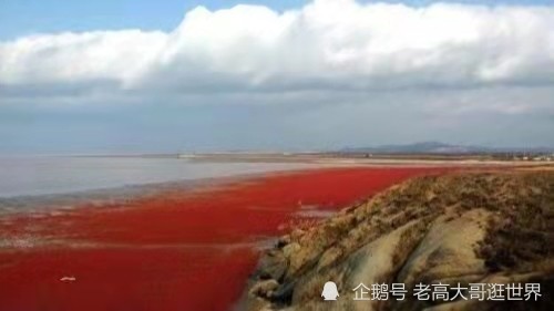 红海位于非洲东北部与阿拉伯半岛之间,形状狭长,从西北到东南长1900