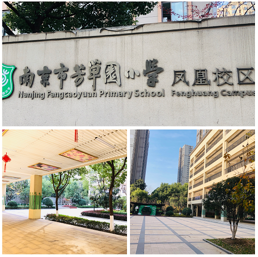 校园新闻校园新闻成长探秘女生青春期讲座走进南京市芳草园小学凤凰