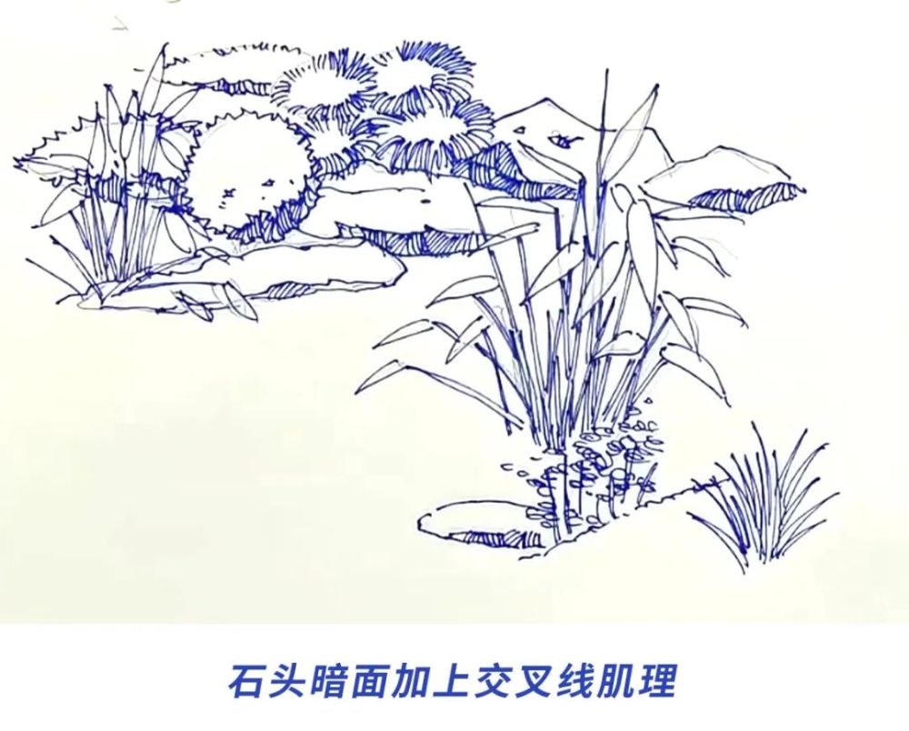 画法拆解植物和石头组团的画法详解