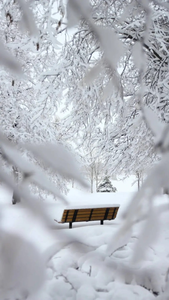 背景图听说悲伤的人喜欢看雪