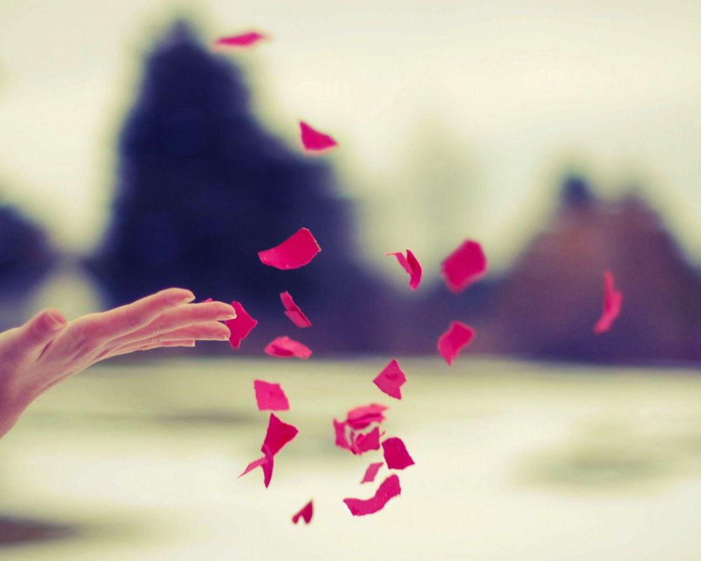 当你要放弃一个人的时候，为什么常常做梦梦到他？