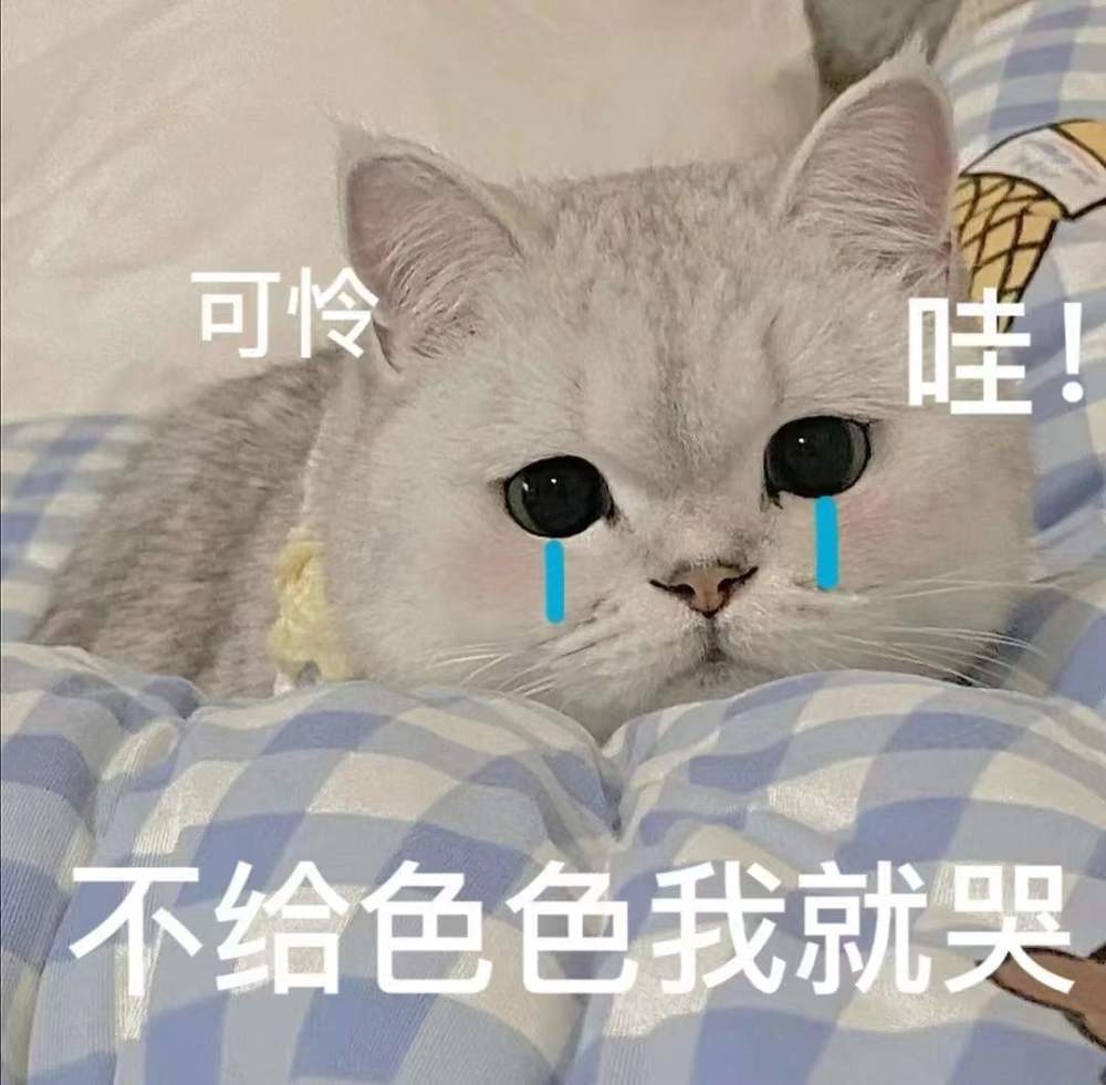 最近超火的不可以色色表情包快发给对象