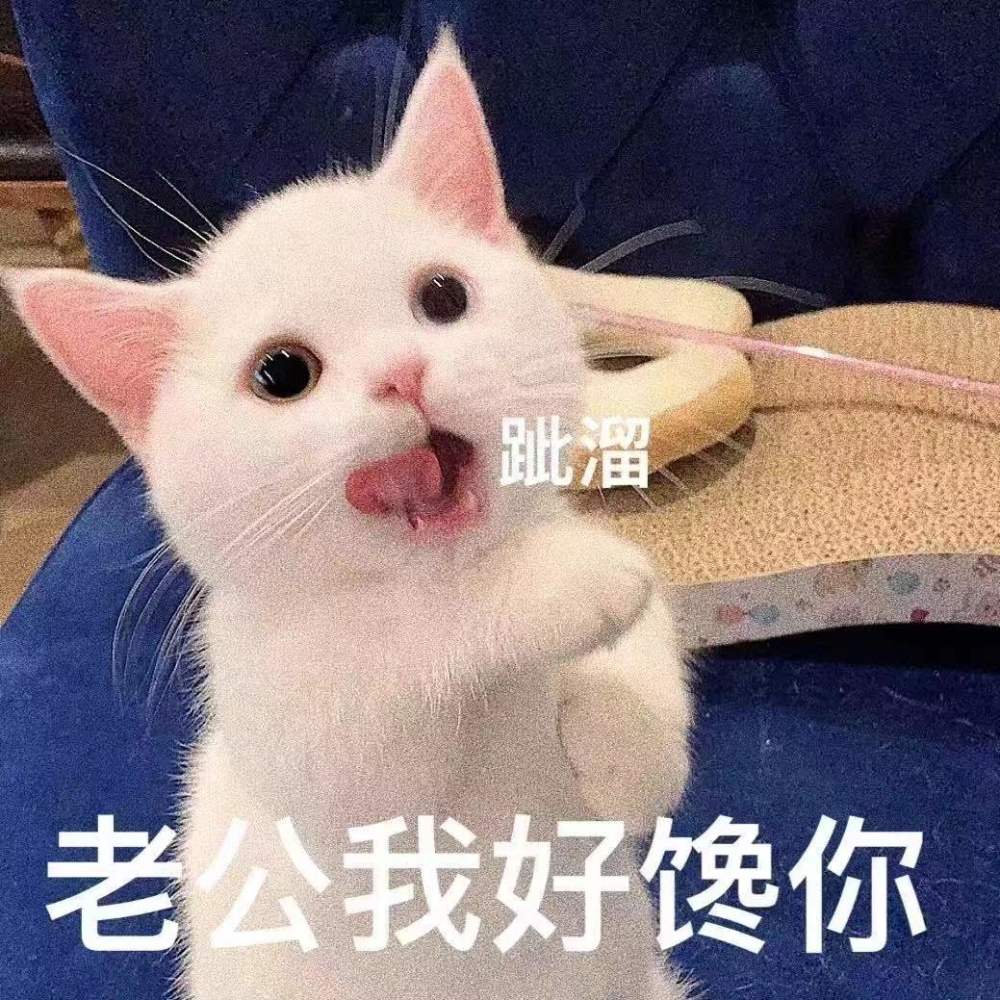 最近超火的不可以色色表情包快发给对象
