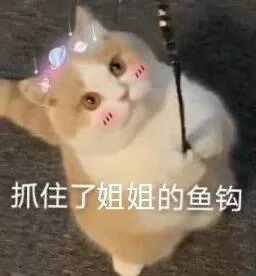 全套查岗表情包