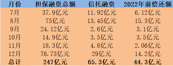 根据上述统计数据可知,今年4月份至12月20日累计新增的约482亿元担保