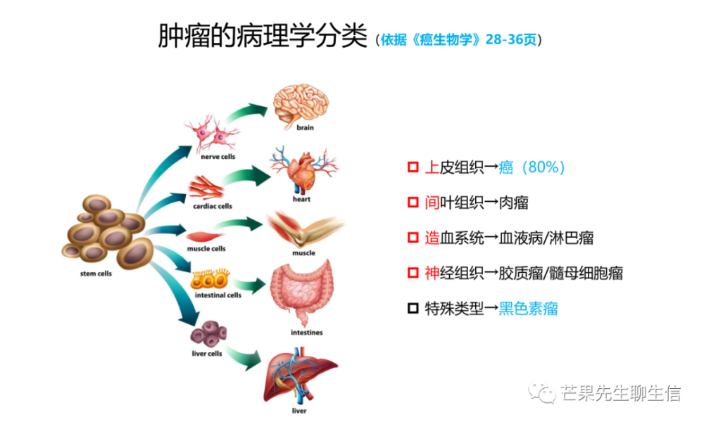 肿瘤到底是什么