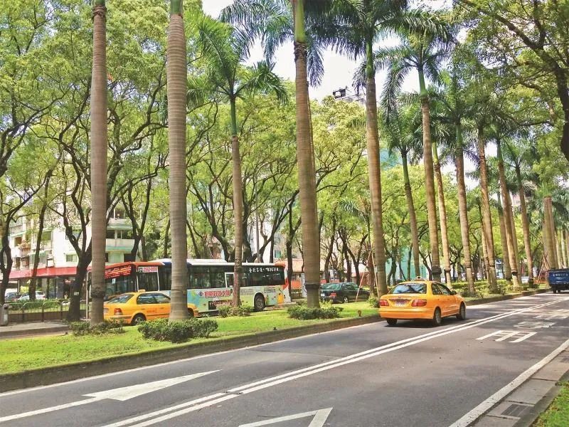 仁爱路是台北一条东西向主干道,全路共分四段,道路两侧及中央种满了