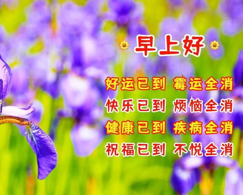 好朋友早上好祝福语优美句子老朋友早安祝福语祝福图片