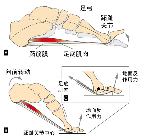 没有比赛就好好训练脚力30款高性能训练鞋大盘点